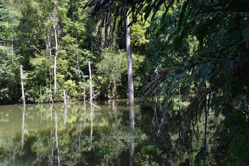 thailand_koh_lanta_0056