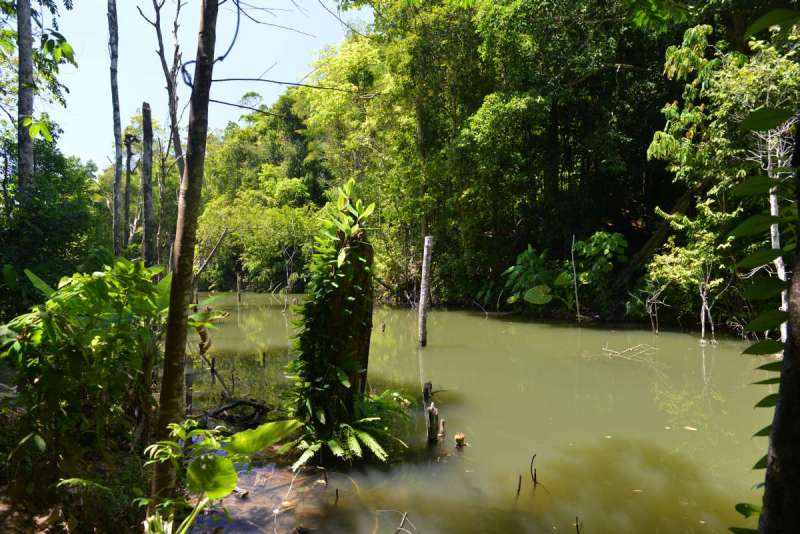 thailand_koh_lanta_0081