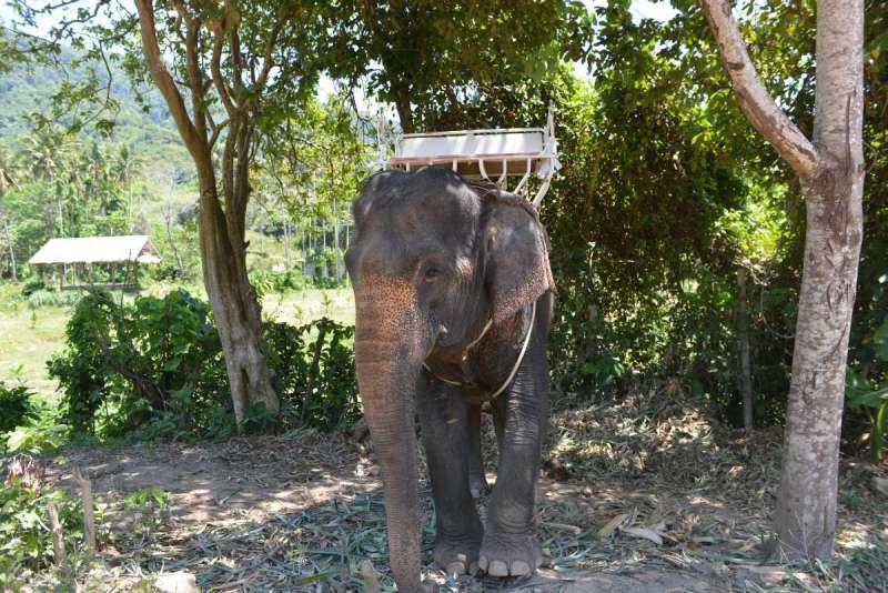 thailand_koh_lanta_0086