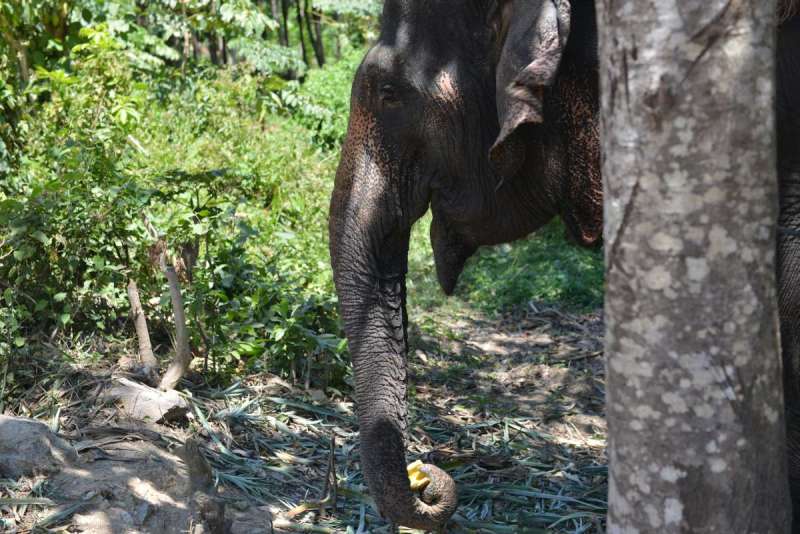 thailand_koh_lanta_0091