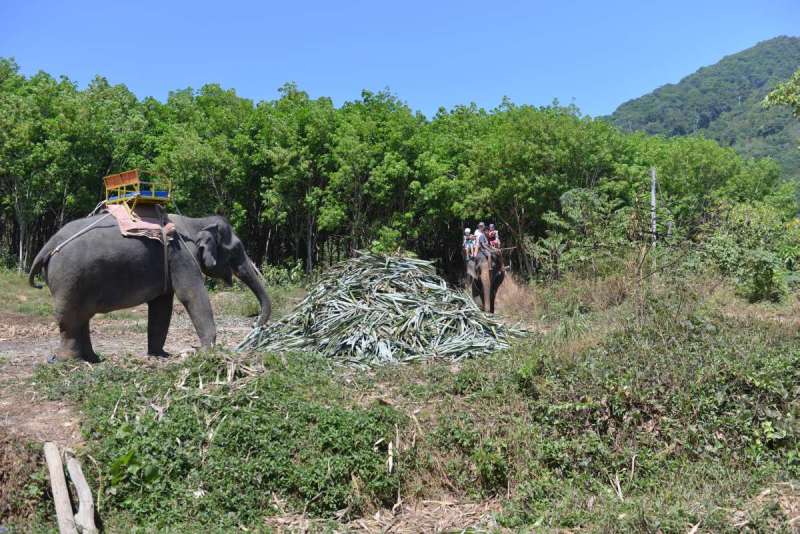 thailand_koh_lanta_0096