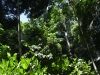 thailand_koh_lanta_0076