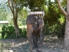thailand_koh_lanta_0086