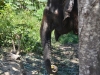 thailand_koh_lanta_0091