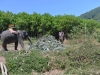 thailand_koh_lanta_0096