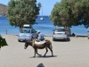 to_athens_0031