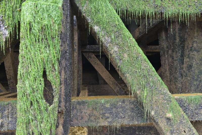 to_boulonge_sur_mer_0091