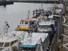 to_boulonge_sur_mer_0196
