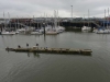 to_boulonge_sur_mer_0201