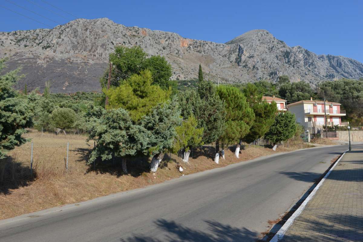 to_corfu_ionian_sea_0121