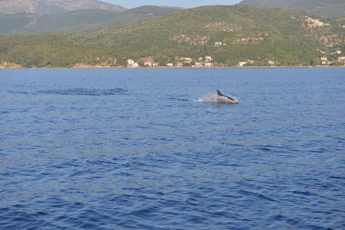 to_corfu_ionian_sea_0141