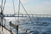 varberg_anholt_nyborg_026