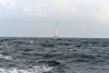 varberg_anholt_nyborg_028