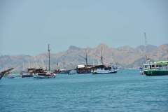 to_labuan_bajo
