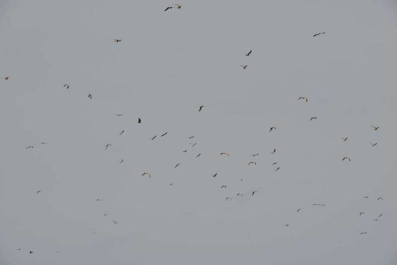 to_lisbon_0210