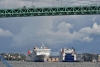 gothemburg_vraengoe_varberg_006