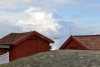 gothemburg_vraengoe_varberg_013