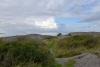 gothemburg_vraengoe_varberg_014