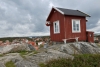 gothemburg_vraengoe_varberg_015