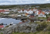 gothemburg_vraengoe_varberg_016