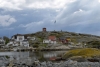 gothemburg_vraengoe_varberg_017