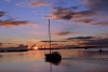 gothemburg_vraengoe_varberg_025