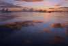 gothemburg_vraengoe_varberg_026