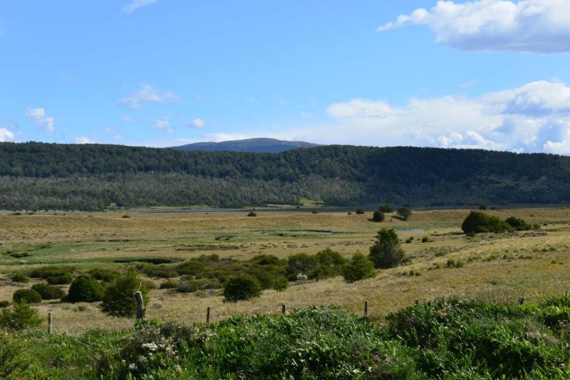 tolhuin_017