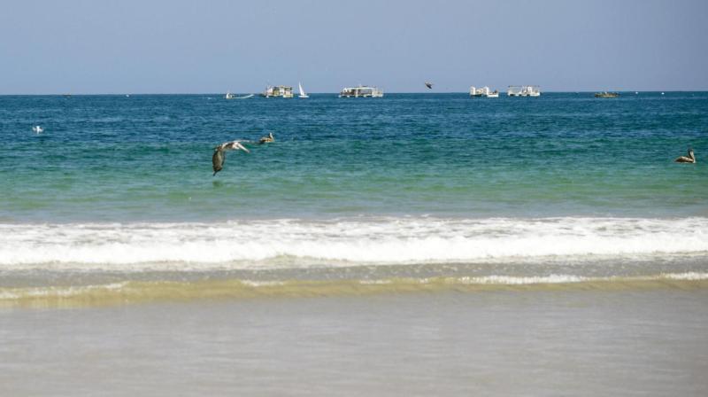 tongoy_0027