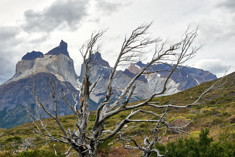torres_del_paine_030
