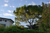 torri_del_benaco_0006