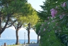torri_del_benaco_0061