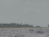 tua01_0012