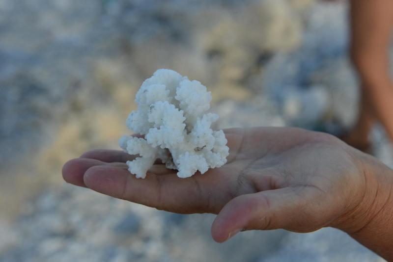tua04_0013