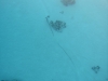 tua04_0021