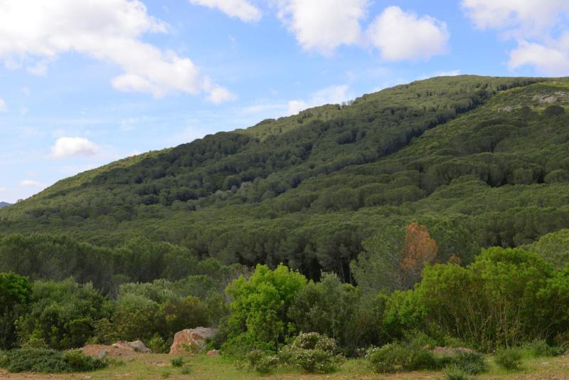 tunesien_wohnmobil_bezirte_002