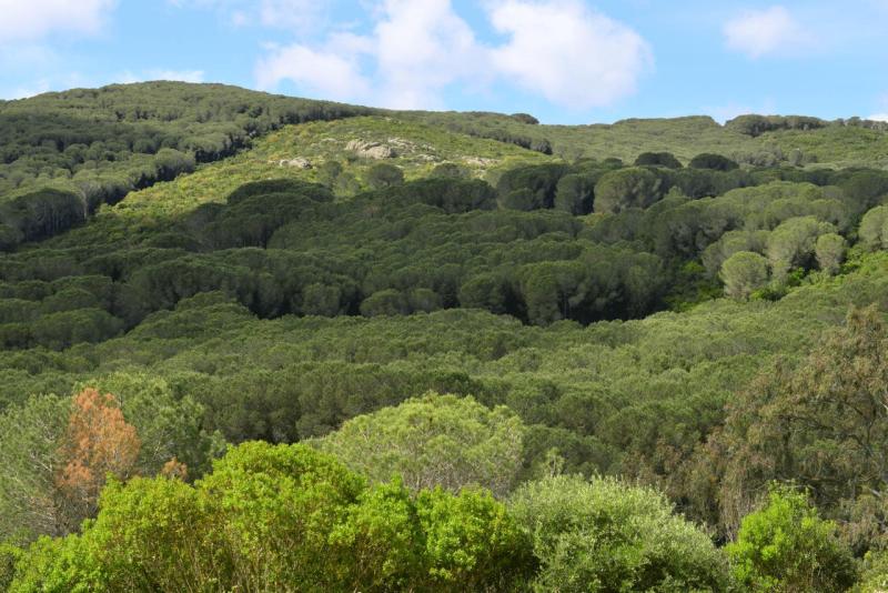 tunesien_wohnmobil_bezirte_003