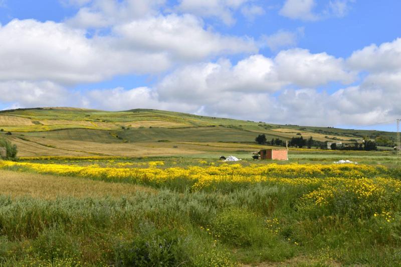 tunesien_wohnmobil_bezirte_005