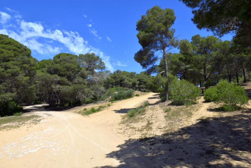 tunesien_wohnmobil_bezirte_015