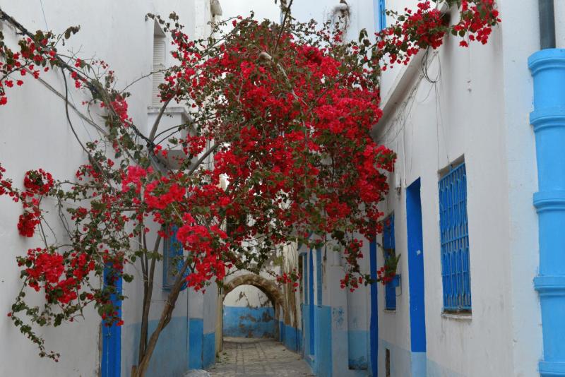 tunesien_wohnmobil_bezirte_034