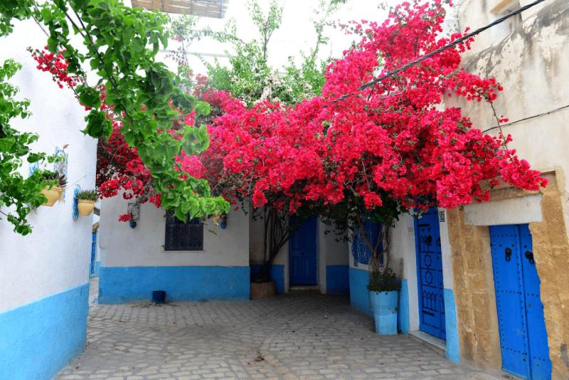 tunesien_wohnmobil_bezirte_036