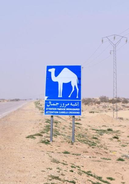 tunesien_wohnmobil_chebika_090
