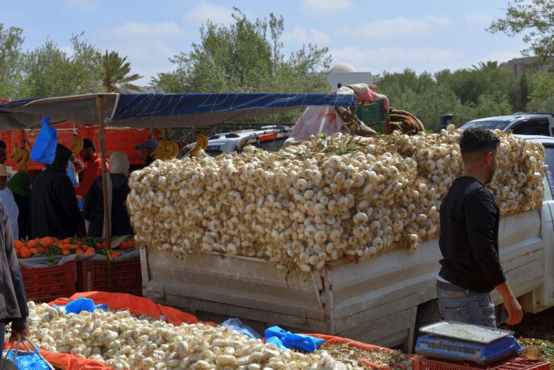 wohnmobil_tunesien_djerba_abreise_006