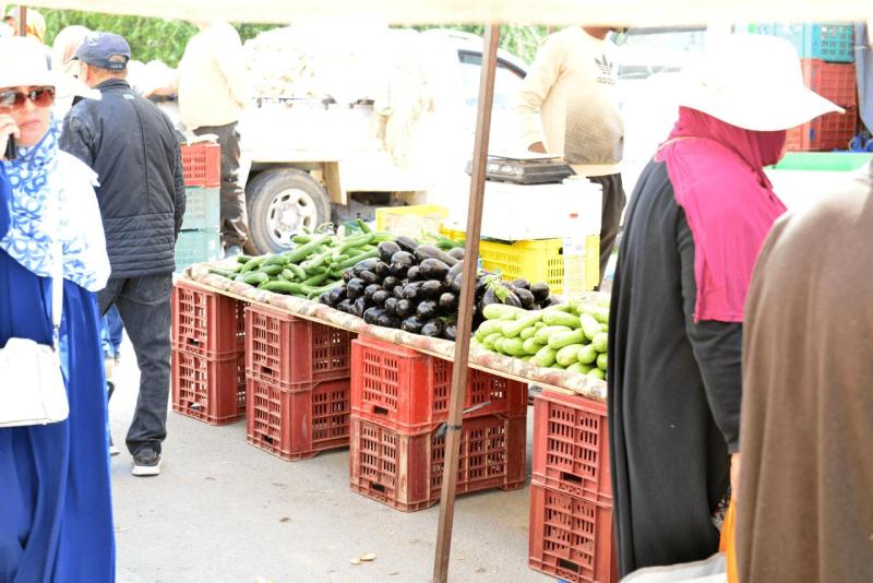 wohnmobil_tunesien_djerba_abreise_009