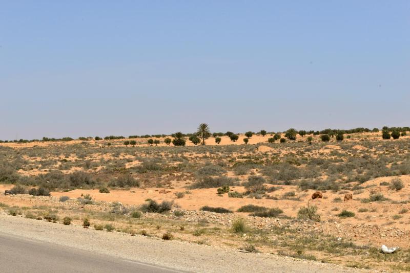 wohnmobil_tunesien_djerba_abreise_015