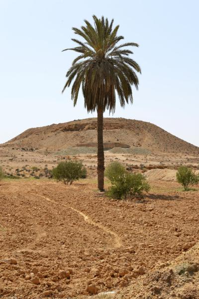 wohnmobil_tunesien_djerba_abreise_022