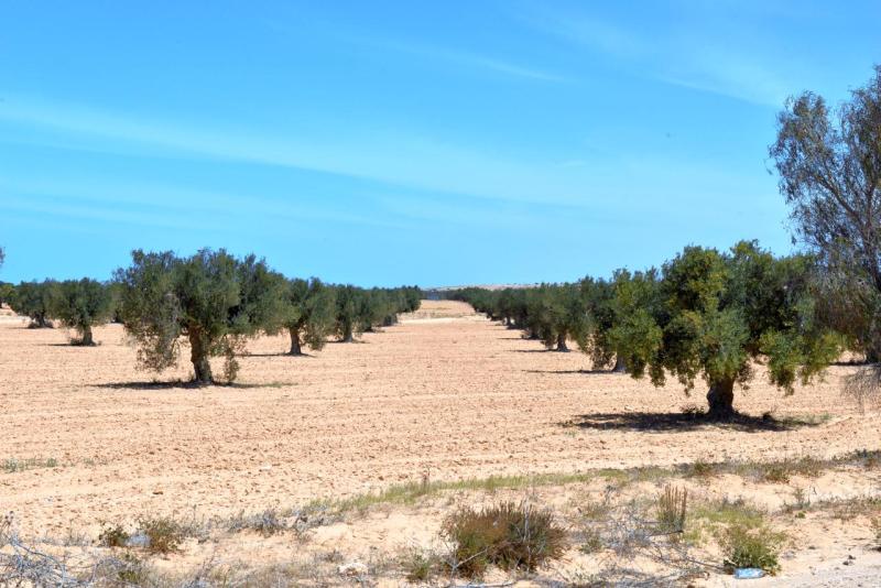 wohnmobil_tunesien_djerba_anreise_009