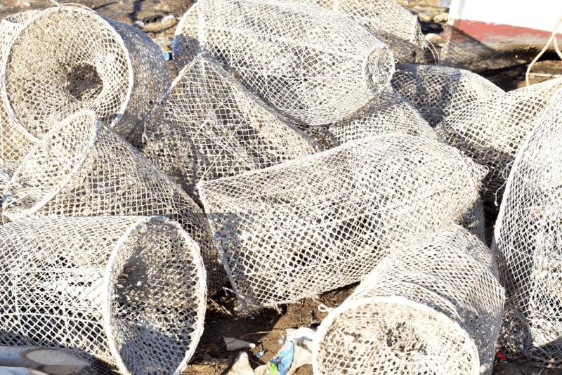 wohnmobil_tunesien_kerkennah_015