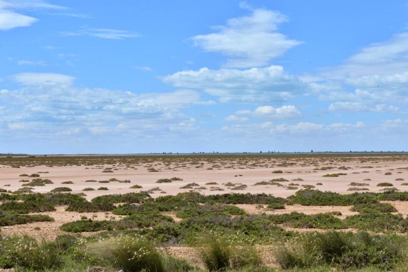 wohnmobil_tunesien_kerkennah_018