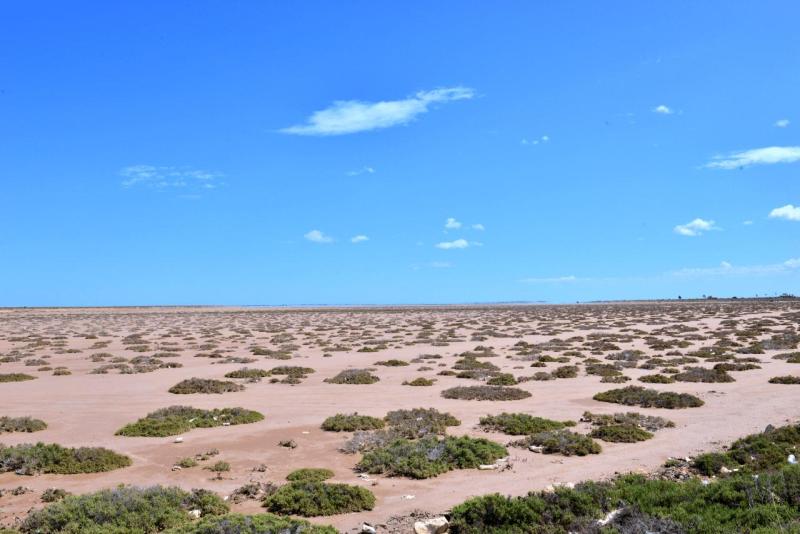 wohnmobil_tunesien_kerkennah_026